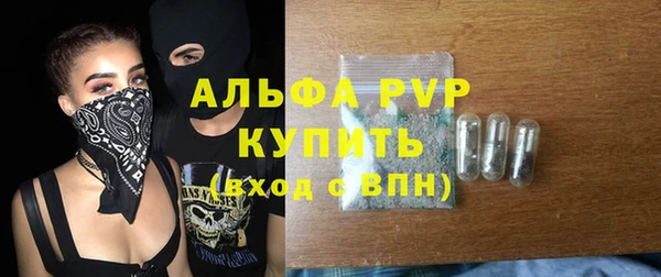 Альфа ПВП Гусев