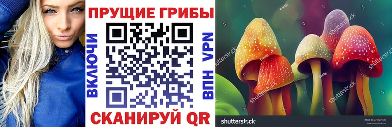 Галлюциногенные грибы Cubensis  Новоульяновск 